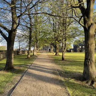 Website design services for businesses in Ballymena and Northern Ireland